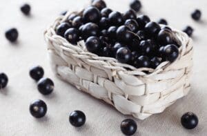 visiter dijon - cassis